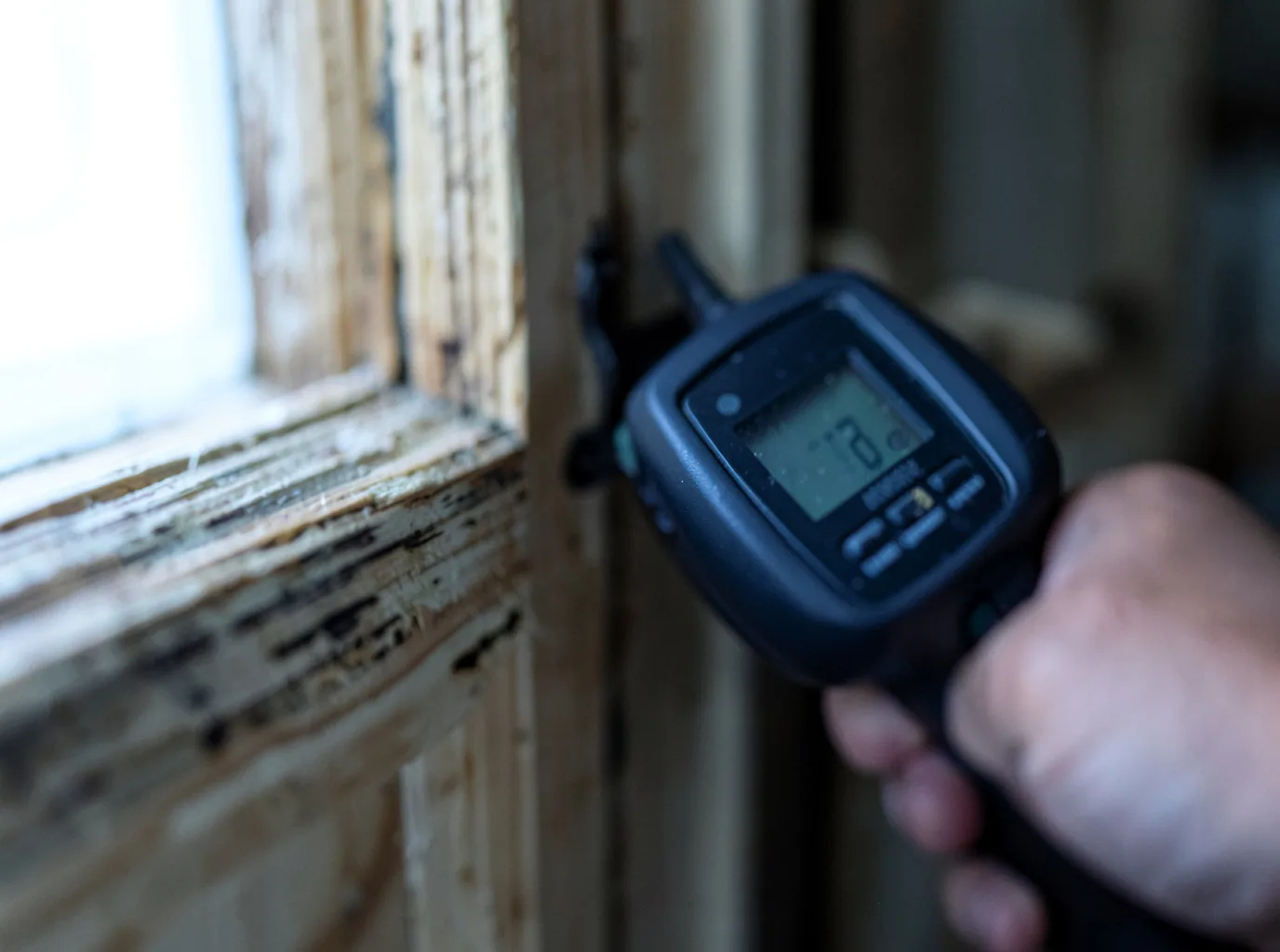 Moisture Inspection And Documentation in Wagener, SC